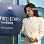 Tulsi Gabbard, États-Unis
