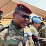 Centrafrique, FACA